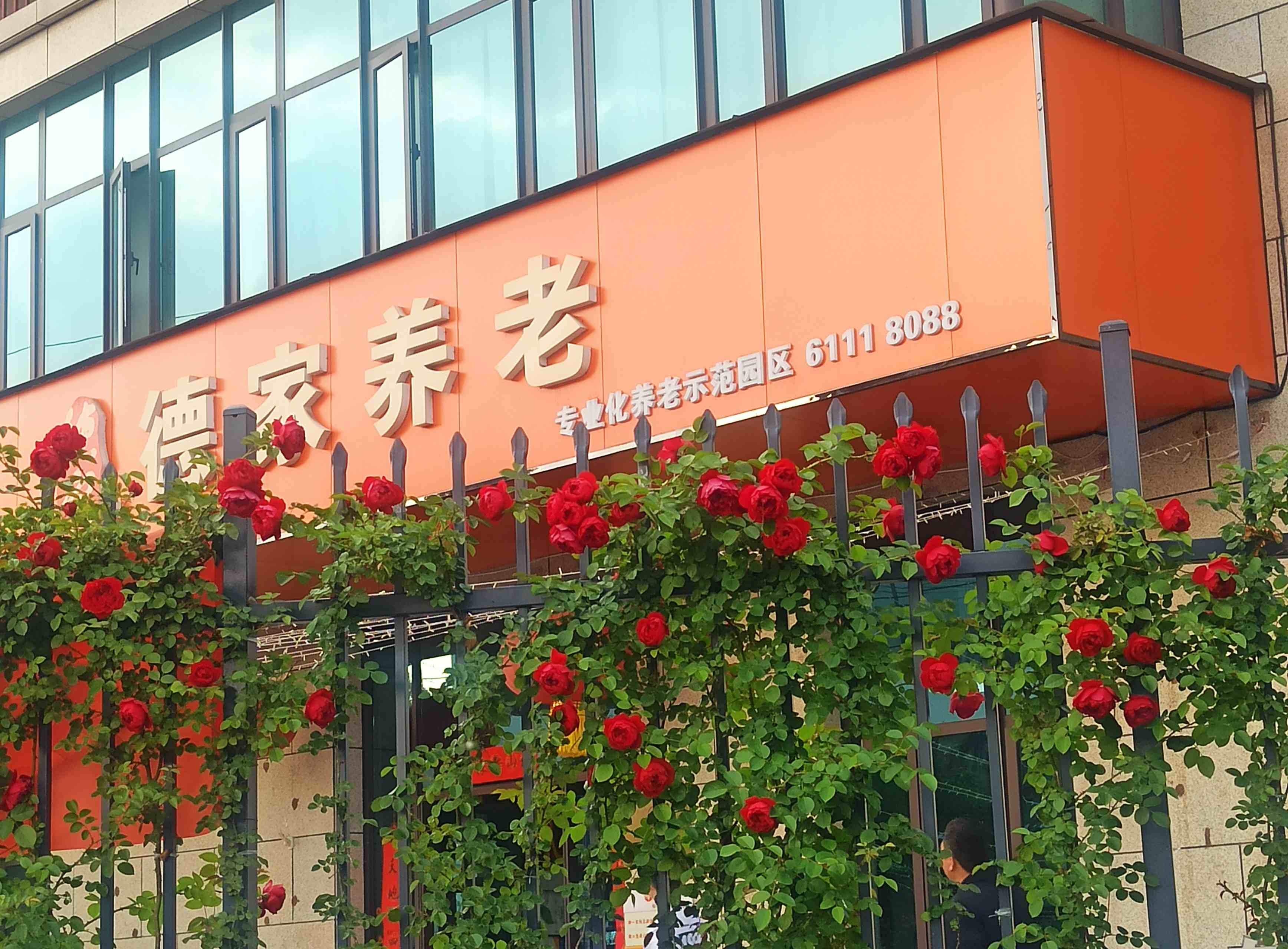 微信图片_20240901124328_副本